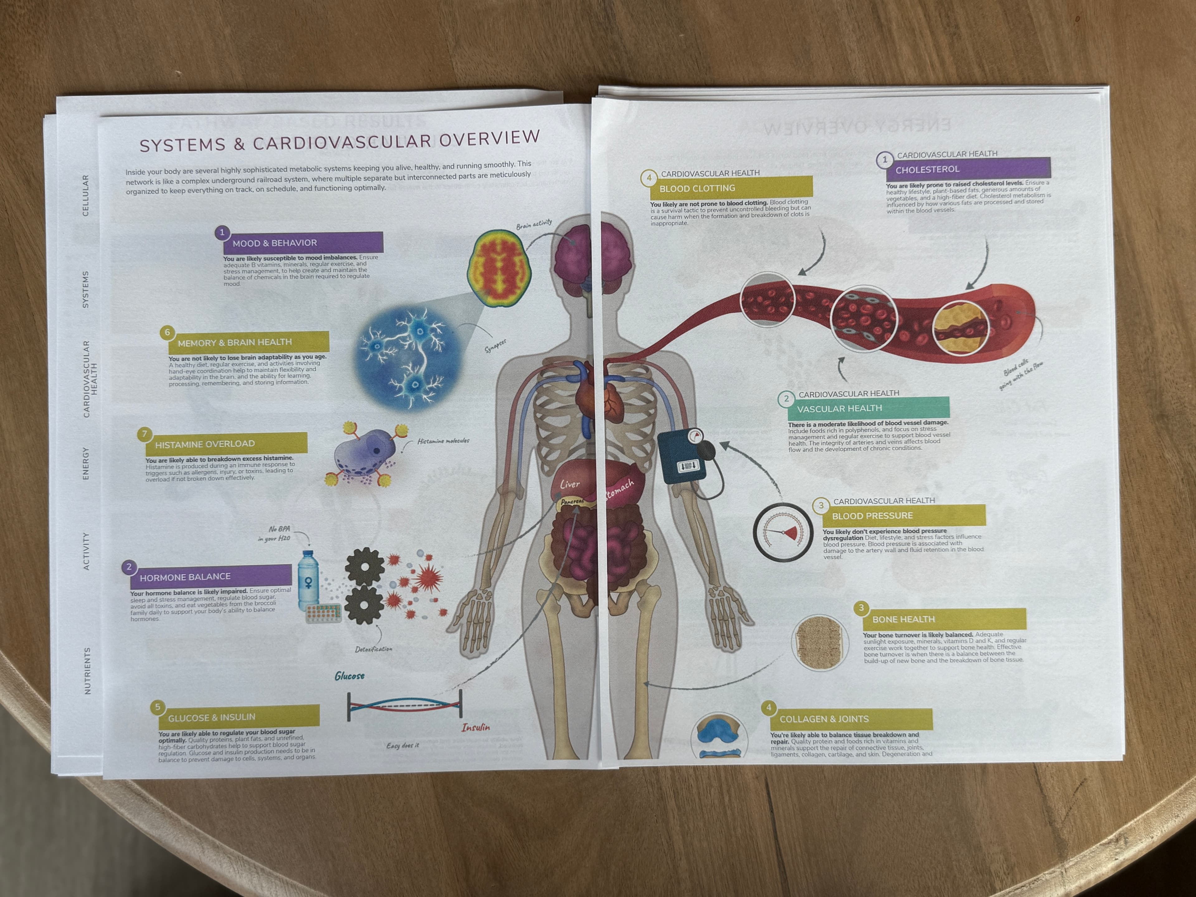 Open Gen 3 systems and cardiovascular overview report