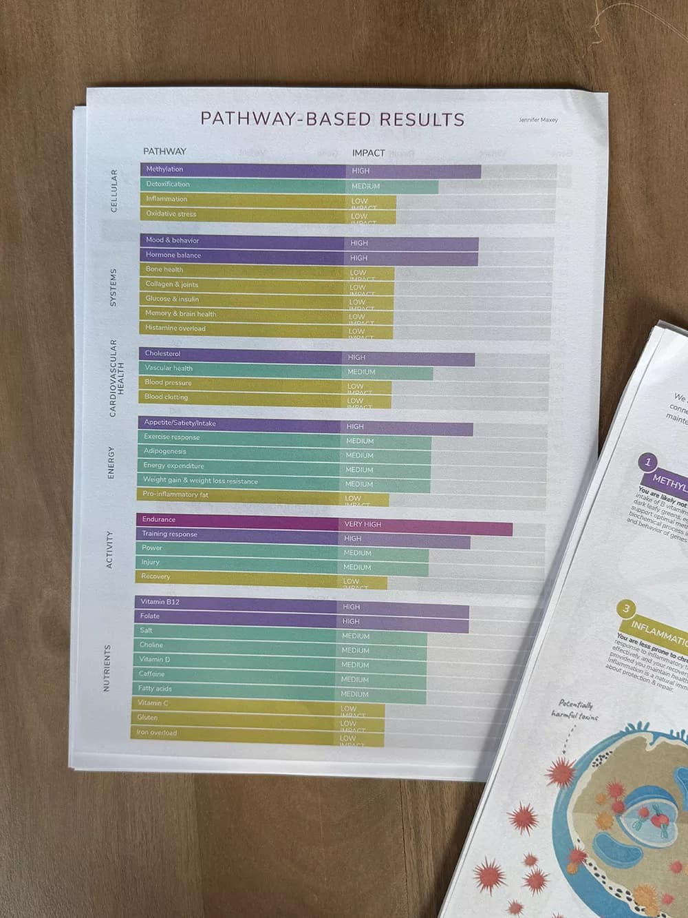 Printed Gen 3 results used during a Health Optimization Panel review